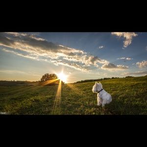 Meet your Posher, Dwayne